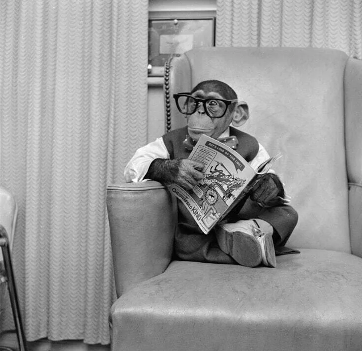 Маркетинг эмоций за 60 сек: копирайтер не должен продавать. Он должен предлагать возможность